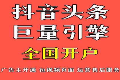 竞价广告的投放时机与频次选择——基于案例的探讨
